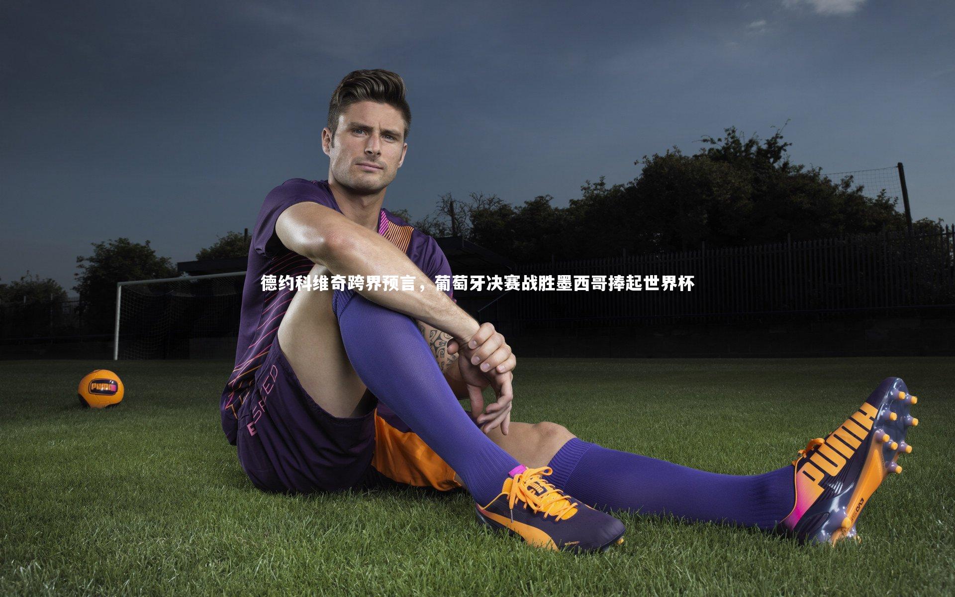 德约科维奇跨界预言，葡萄牙决赛战胜墨西哥捧起世界杯